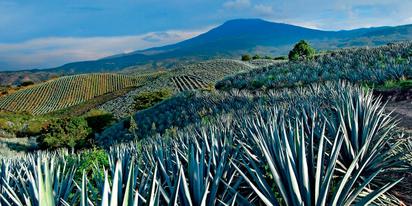 Inauguraron-Foro-Estatal-de-Manejo-y-Conservación-del