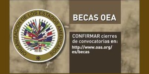 Becas OEA 2r