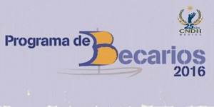 Programa de Becarios 2016 bannerr