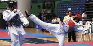 tae kwon do bannerR