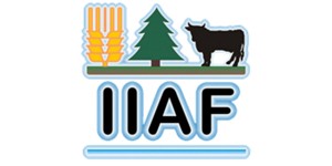 logo iiaf 2R