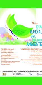 Día medio ambiente 2R