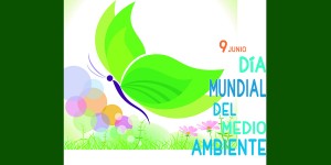 dia medio ambiente bnnR