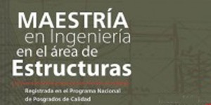 maestría estructura bnnR