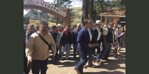 apertura-mariposa-4r