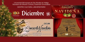 agendda-cultural-navidena-bnnr