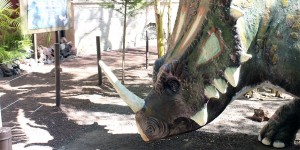 museo-historia-natural-general-bnnr