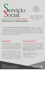 Cartel Servicio Social Profeco 2016