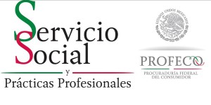 servicio-social-rpofeco-bnnr