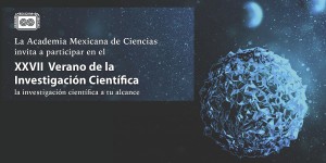 AMC CartelXXVIIVerano BNNR
