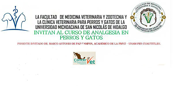 FMVZ curso anestesia perros y Gatos bnnR