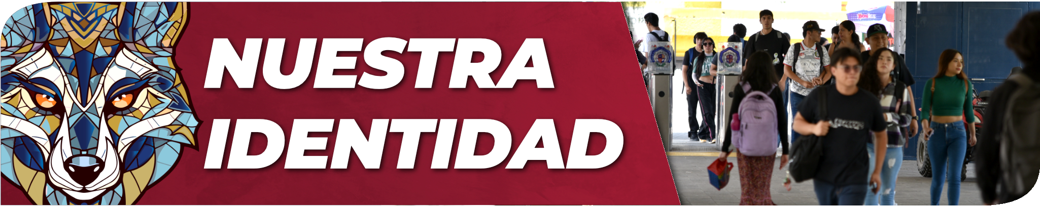 Banner_MidSize_Identidad